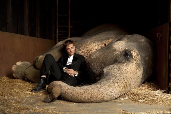 Water for Elephants a brilliant adaptation