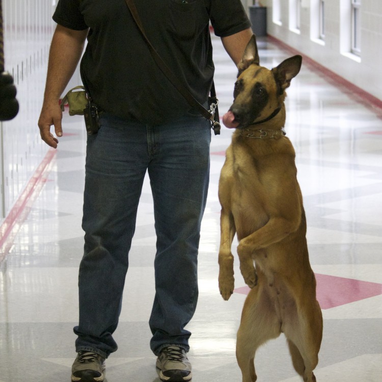 The Drug Dog comes often to check lockers and classrooms, helping keep school a clean and safe environment.