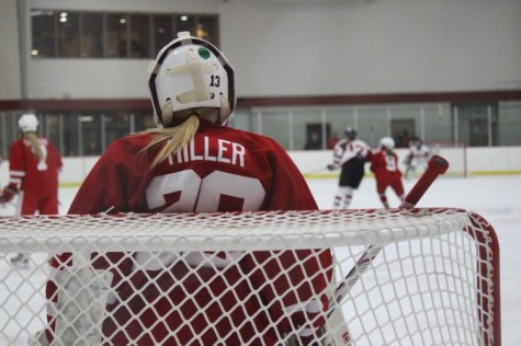 Senior goalie Abbey Miller, who holds the state record for shutouts, aims to help the Red Knights to their first state title in Class AA.