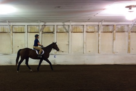 Falk and her new horse Mystery hope to compete in dressage and hunter jumper riding in the future.