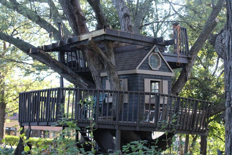 The city of St. Louis Park has told Mark Tucker that his famous treehouse must be taken down by the end of the year. 