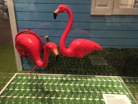 Pink flamingos were a staple during the growth of suburban Minnesota. 