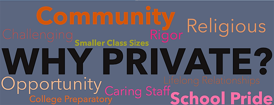 The pros and cons of private school education