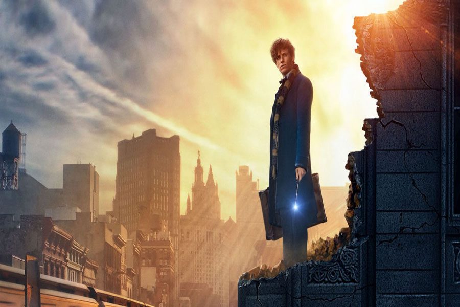 Fantastic Beasts and Where to Find Them offers new look into Harry Potter universe
