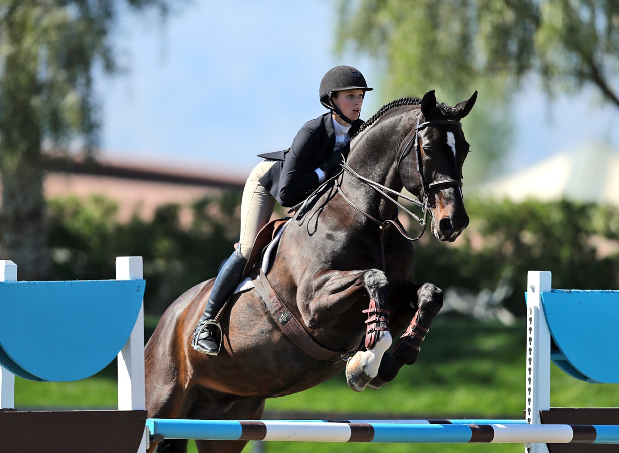 Senior finds success in horseback riding – Knight Errant
