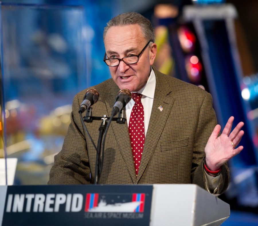 Chuck Schumer, who became a Senator in 1999, has not been able to unify the democratic party as the Senate Minority Leader.