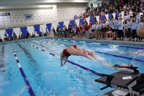 Sophomore Bridget Baker dives off the starting block.