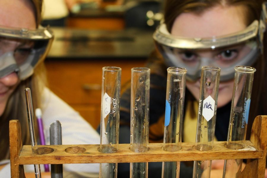 Juniors Frannie Scherer and Megan Daubenberger examine solutions during a lab in their honors chemistry class. Next year, AP chemistry will be offered as a second-year class for those students interested in a science field.