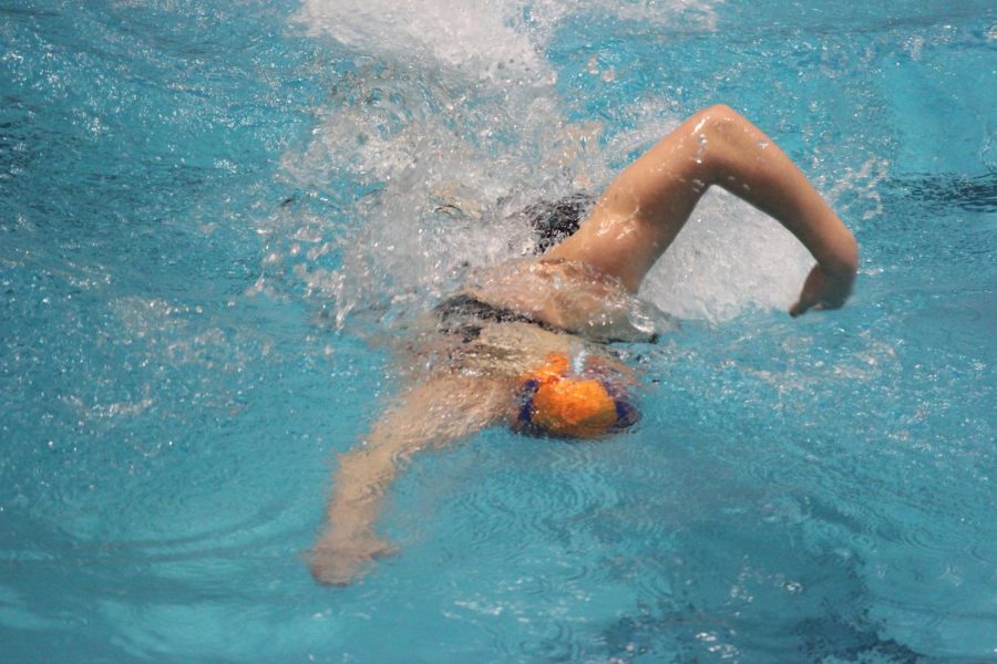 Freshman Taylor Williams experienced similar success on BSMs girls swim team.