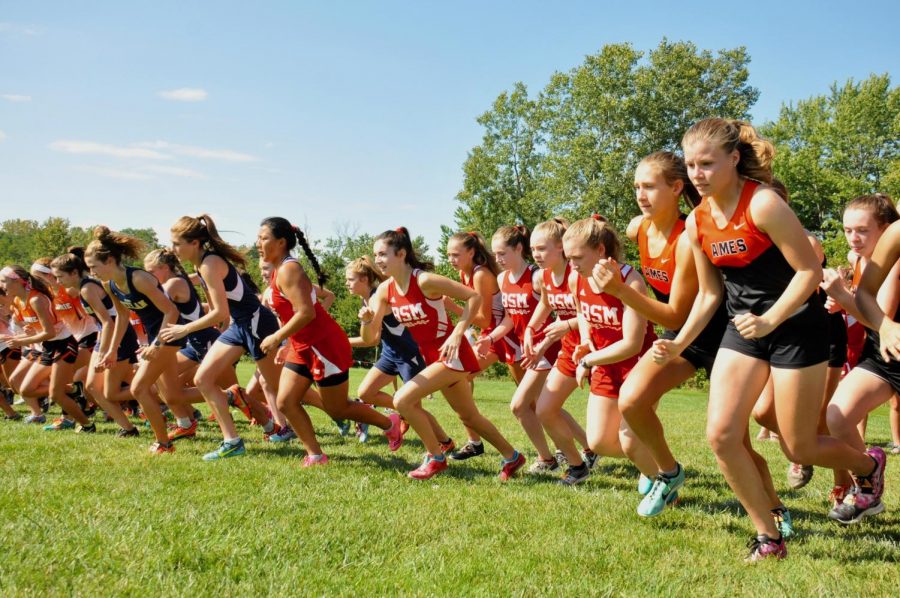 Girls cross country aims for victory this year through team building and  working hard.  