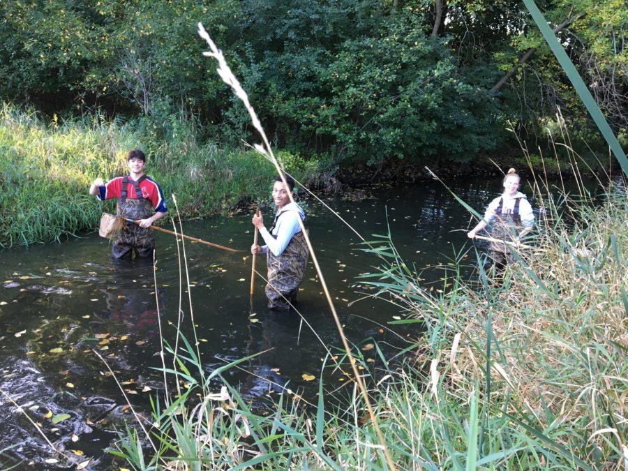 Ecology students put waiters on and jumped into Minnehaha Creek to collect macroinvertebrate samples.