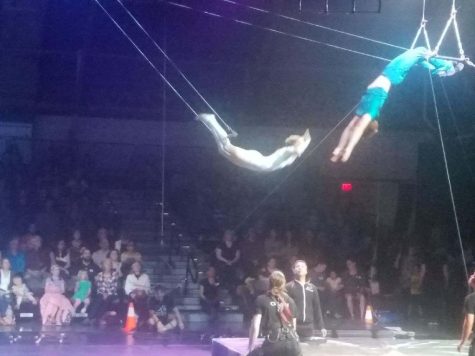 Kiara Van Oort takes classes on ladder trapeze, triple trapeze, Moroccan pyramids, low casting, and banquine which all fall under the aerial and acrobatic genres of classes.