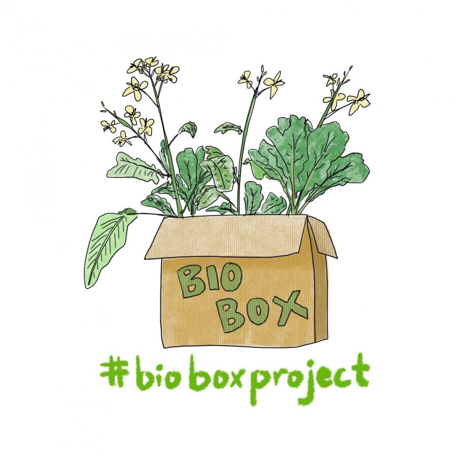 Biology Teacher Mark Peterson created the Bio Box Project so that his students could complete biology labs while doing online school.