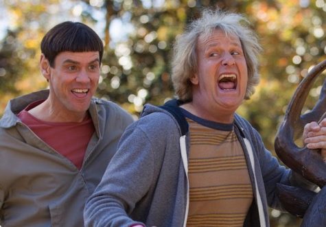 Dumb and Dumber is a must-watch on Dokman's list.