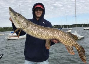 Northern pike, as large as 41 inches, find their home in Lake Harriet, but its not the only place worth fishing around the Twin Cities.