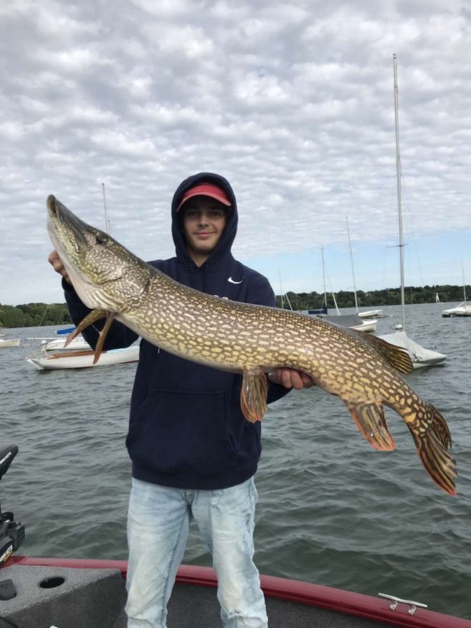Northern+Pike+%2841+inches%21%29+caught+in+Lake+Harriet.