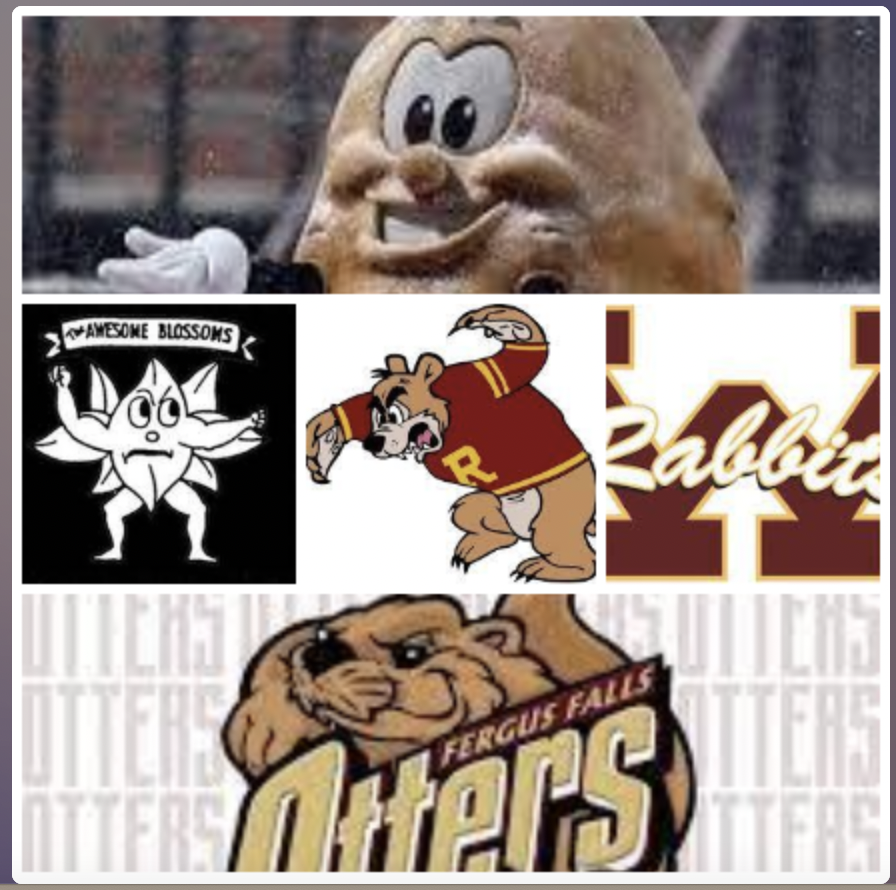 Top 5 best Mascots in the State of Minnesota