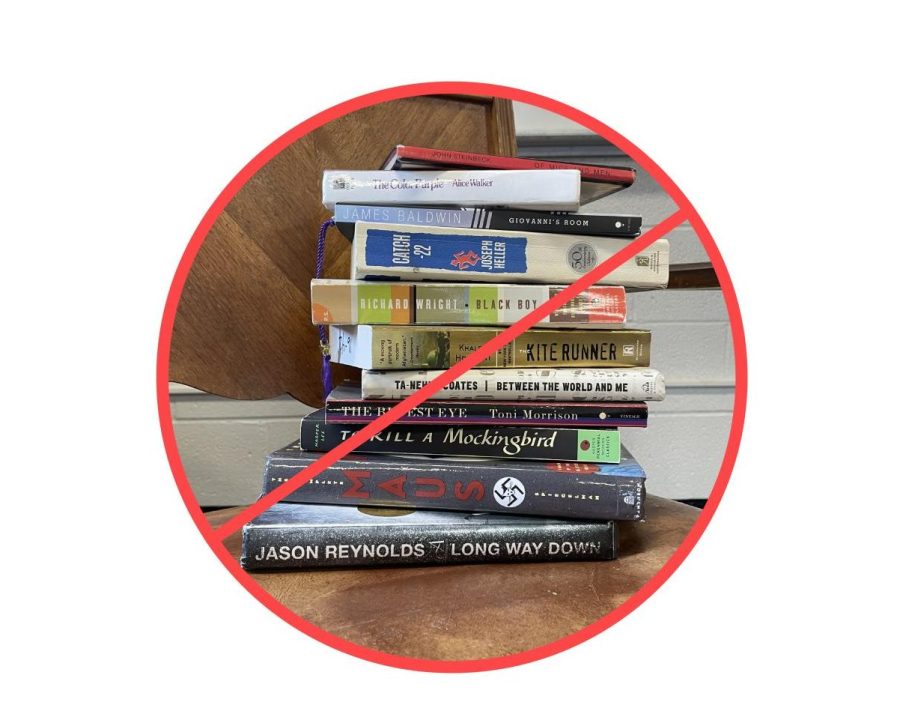Some+of+the+different+books+within+the+curriculum+that+have+started+controversy.