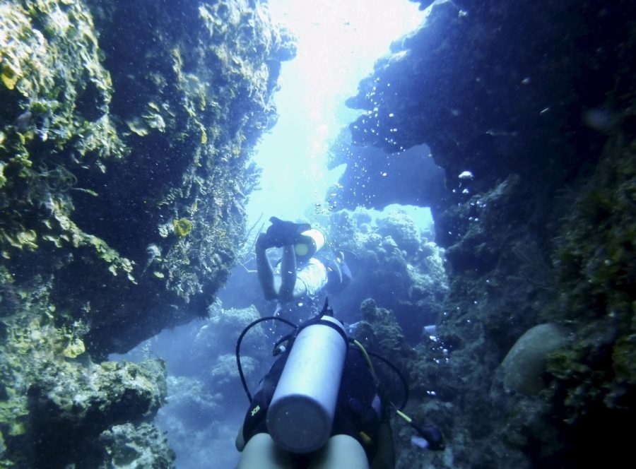 Goodwin swims through the reef at the Tunal Rock dive site. The coral research team has labs set up underwater at this site.