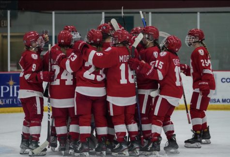 The BSM Girls Hockey team celebrates after beating North Wright County.
