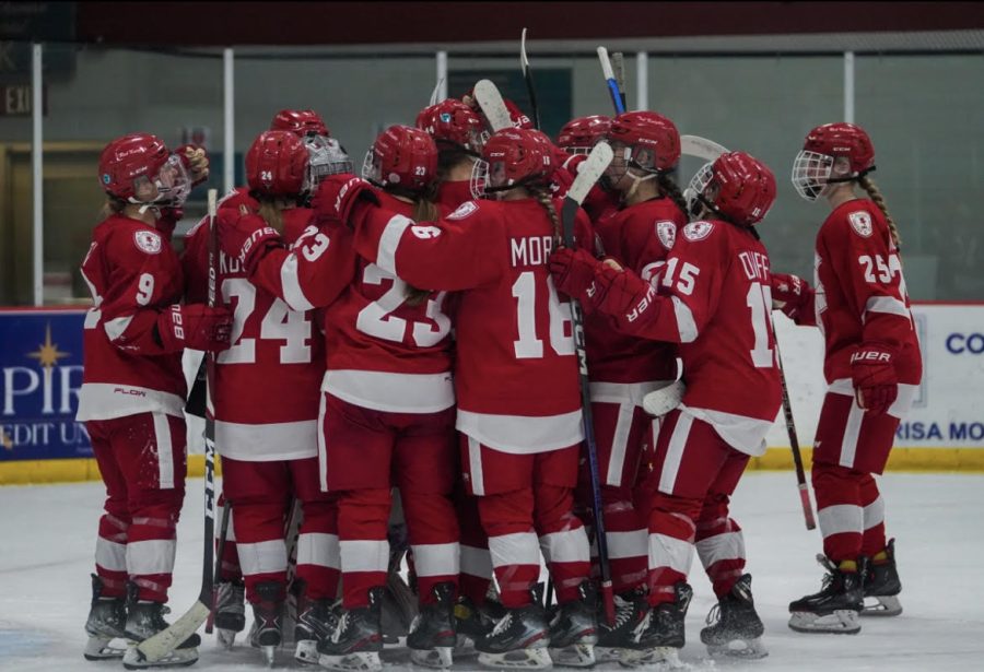 The+BSM+Girls+Hockey+team+celebrates+after+beating+North+Wright+County.