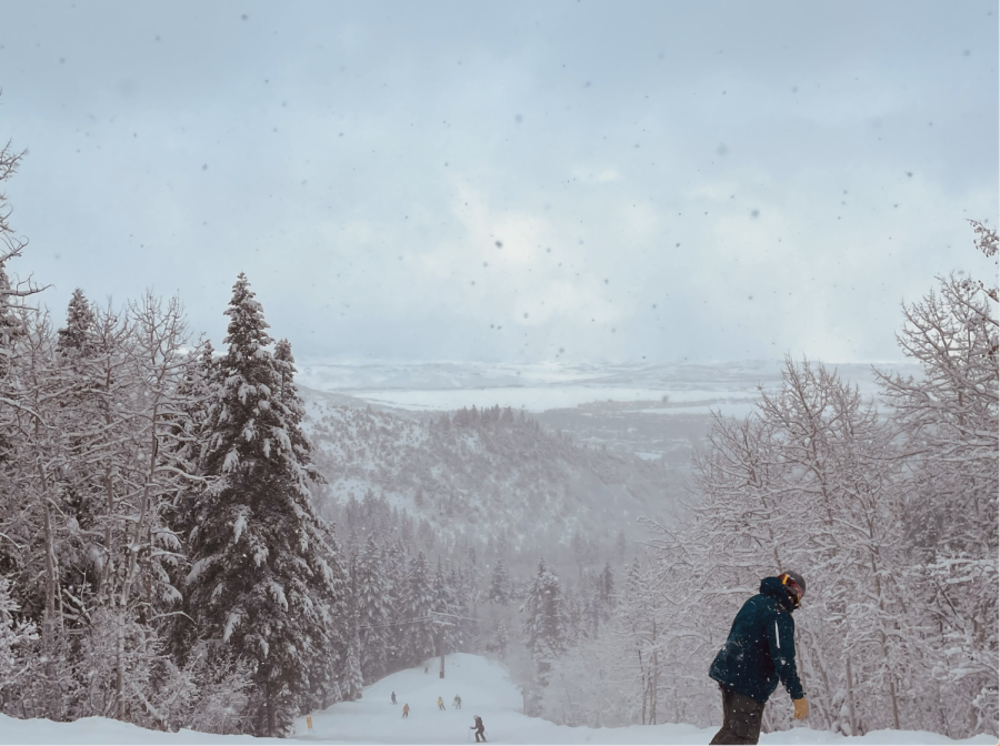 Maya Dennewill 24 traveled to Park City, Utah over winter break with her family for 10 days.