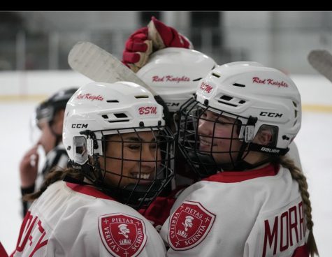 The BSM Girls Hockey teamed participated in sections this past week
