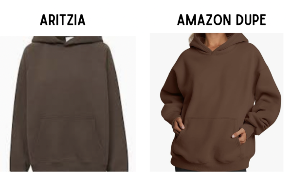 Amazon has recently began selling cheaper duplicates to popular and expensive items.