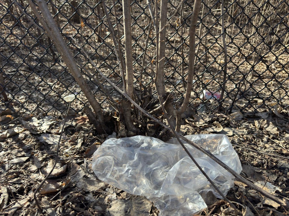 Something needs to be done about the amount of trash that tragically litters the earth.